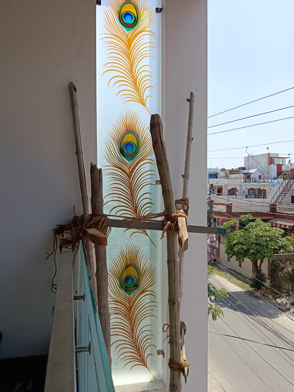 Gallery image 284